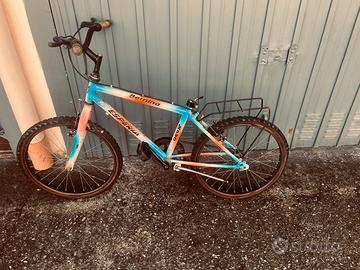 Bici da restaurare