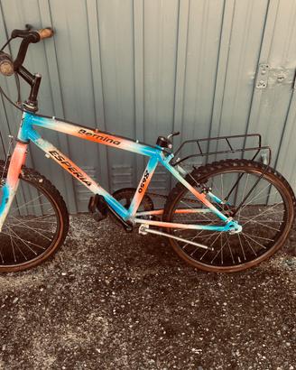 Bici da restaurare