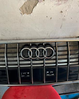 Mascherina griglia Audi q3