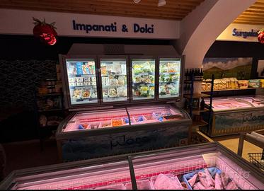 Pozzetto freezer professionale