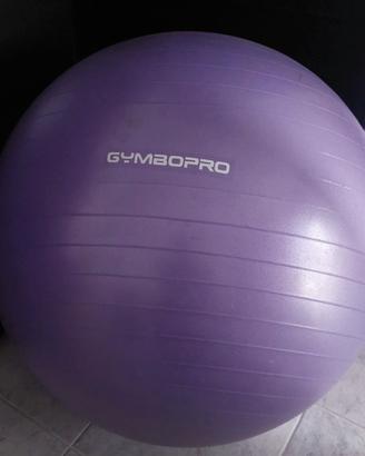 Fitball
