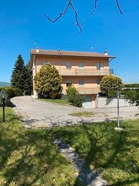 CC 716/2023 - Tribunale di Urbino