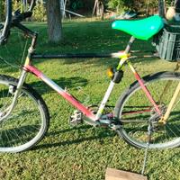 montain bike 