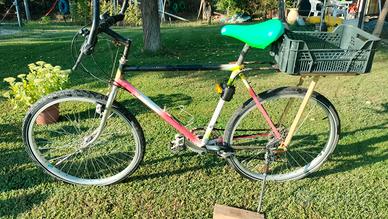 montain bike 