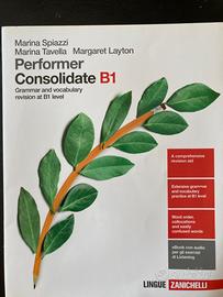 Performer consolidate B1 9788808168337