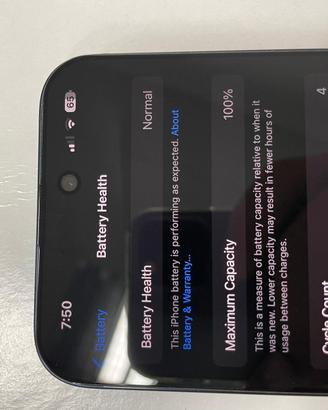 Iphone 15 pro max 256 gb