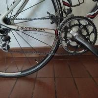 Bici da corsa Olympia/ Ultegra