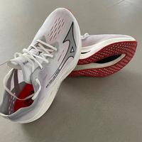 Mizuno Wave Rebellion Pro2