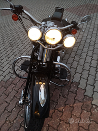 Harley Heritage springer