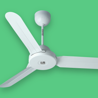 Ventilatore soffitto Vortice con comando a parete