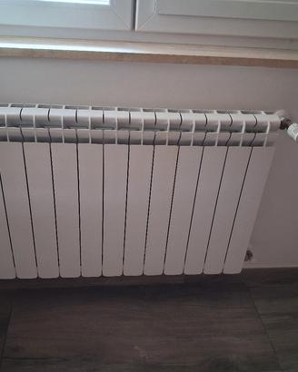 termosifone 