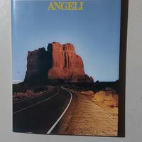 Angeli prima edizione di Denis Johnson