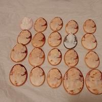Cammei incisi su Conchiglia.
