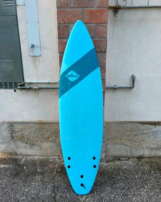 Surf Softech 6’6