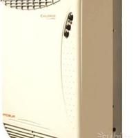 Radiatore stufa gas robur calorio