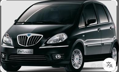 Musa lancia
