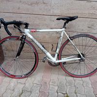 bicicletta Cannon sportiva 