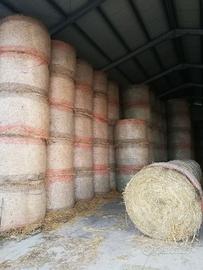 Rotoballe di medica