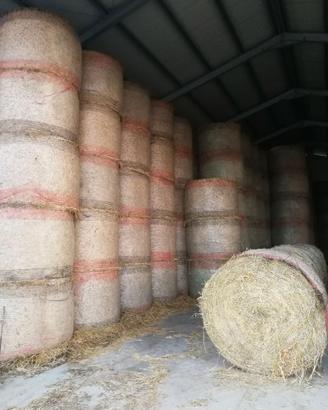 Rotoballe di medica