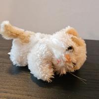 Peluche gattino