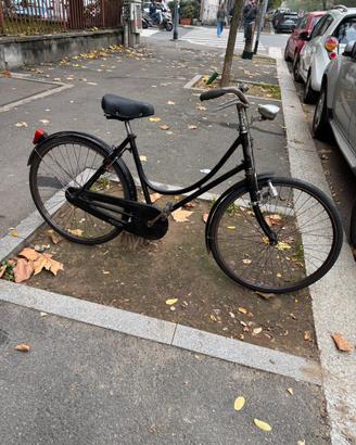Bicicletta freni a bacchetta