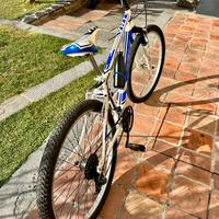 Bicicletta montainbike mtb