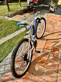 Bicicletta montainbike mtb