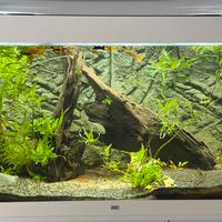 Acquario Juwell Rio 350 completo di tutto