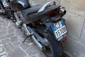 hornet 600