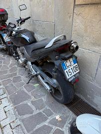 hornet 600