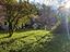 Immagine 21