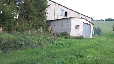 Terreno con annesso capannone