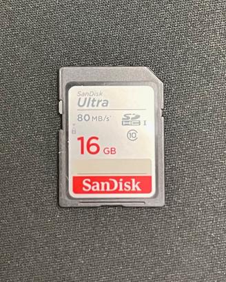 Sandisk scheda SD 16GB