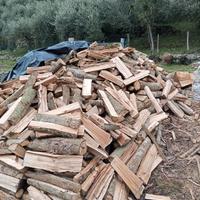 legna da ardere castagno 