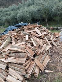 legna da ardere castagno 