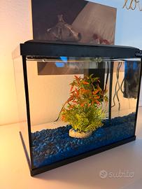 Acquario per Pesci 15 Lt con filtro e Luci a Led