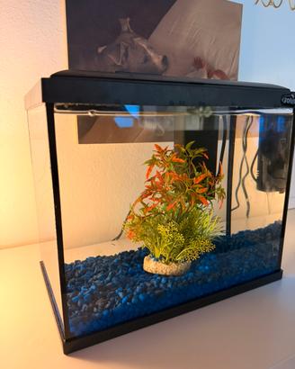Acquario per Pesci 15 Lt con filtro e Luci a Led