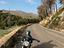 Immagine 2