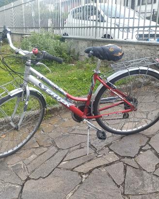 Bicicletta da donna 