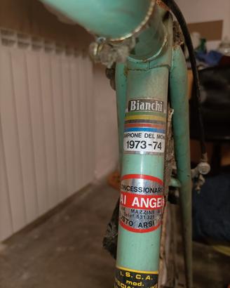 bianchi campagnola campione del mondo 73/74 