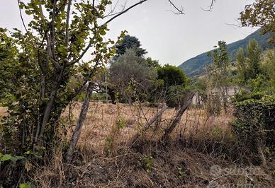 Terreno agricolo