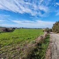 Terreno Agricolo - Serdiana