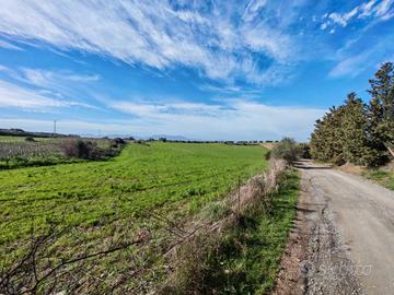 Terreno Agricolo - Serdiana