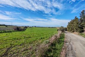 Terreno Agricolo - Serdiana