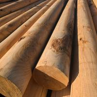 Pali torniti in legno di castagno