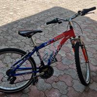 Bicicletta Atala Oxford 24