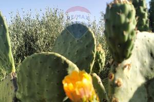 Terreno - Caltagirone