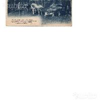 Cartolina 1917 posta militare