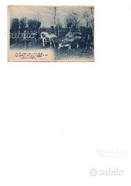 Cartolina 1917 posta militare