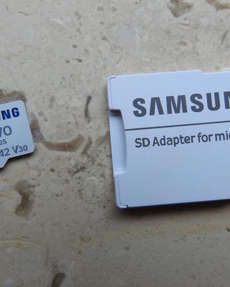 Samsung Scheda di memoria Evo plus 256 GB microSD